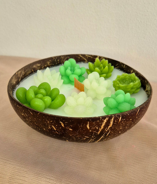 Bougie Bol Coco Cactus Santal
