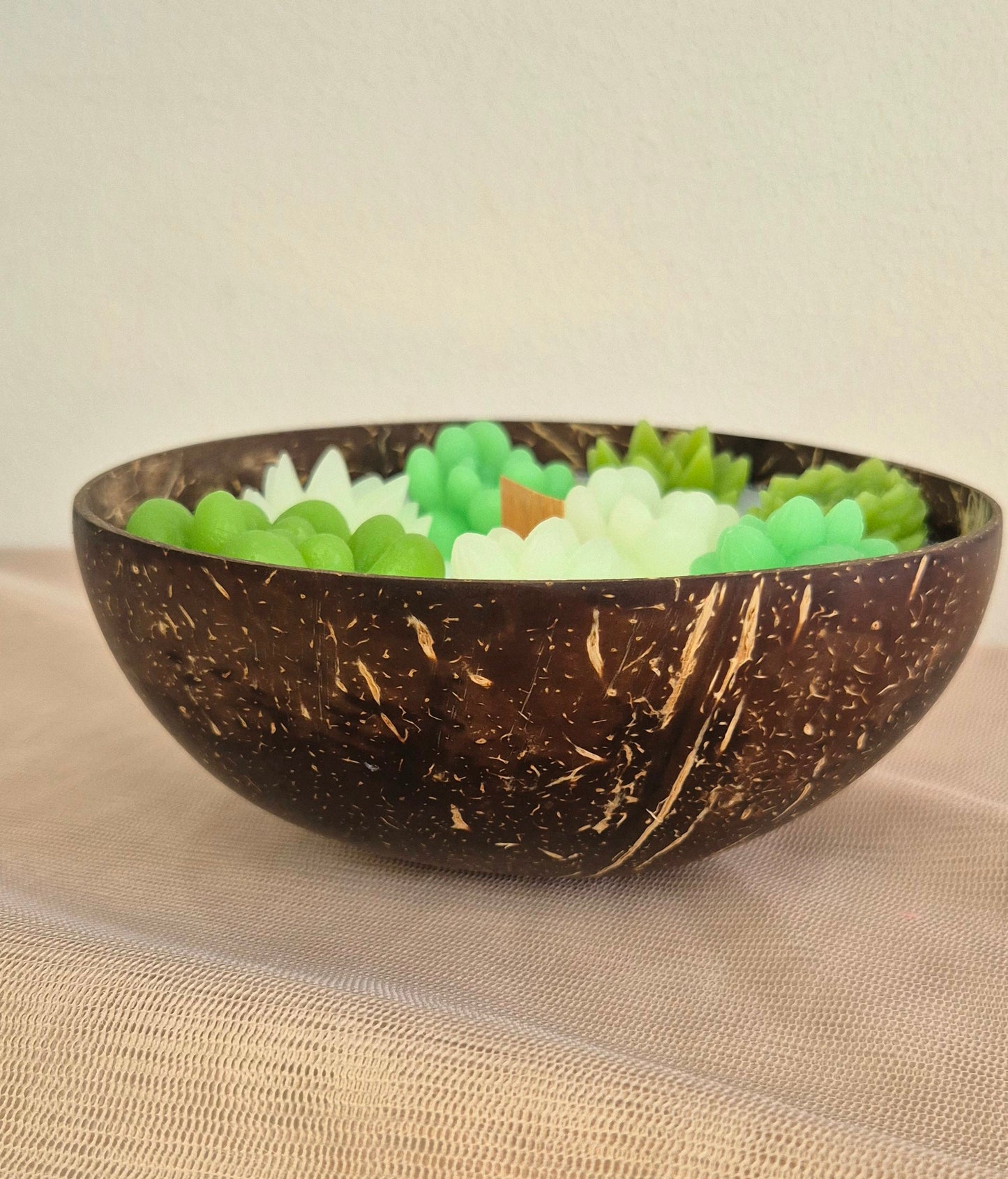 Bougie Bol Coco Cactus Santal