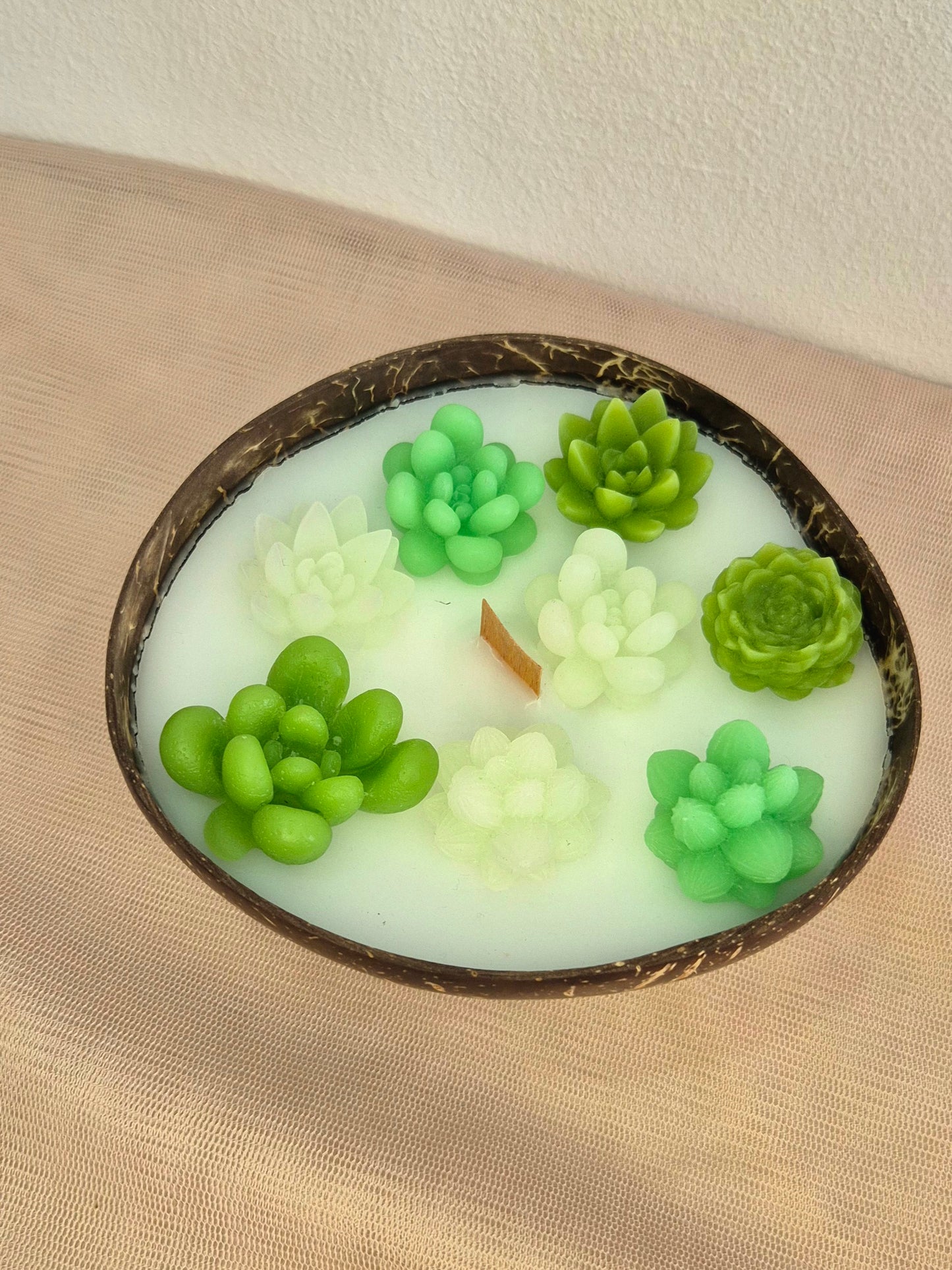 Bougie Bol Coco Cactus Santal