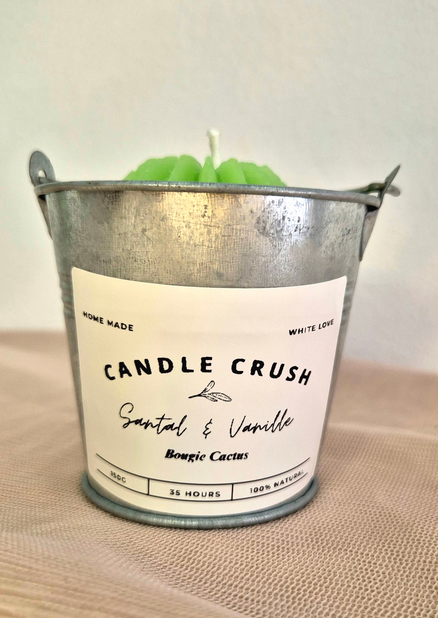 Bougie Mini Cactus Santal & Vanille