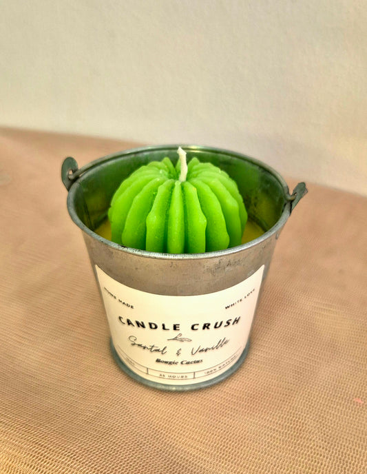 Bougie Mini Cactus Santal & Vanille