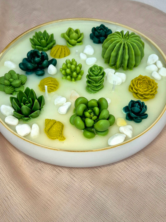 Bougie Jardin Cactus Jasmin Blanc